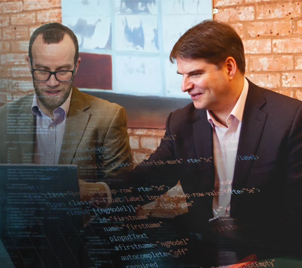 Blueberry Consultants software development